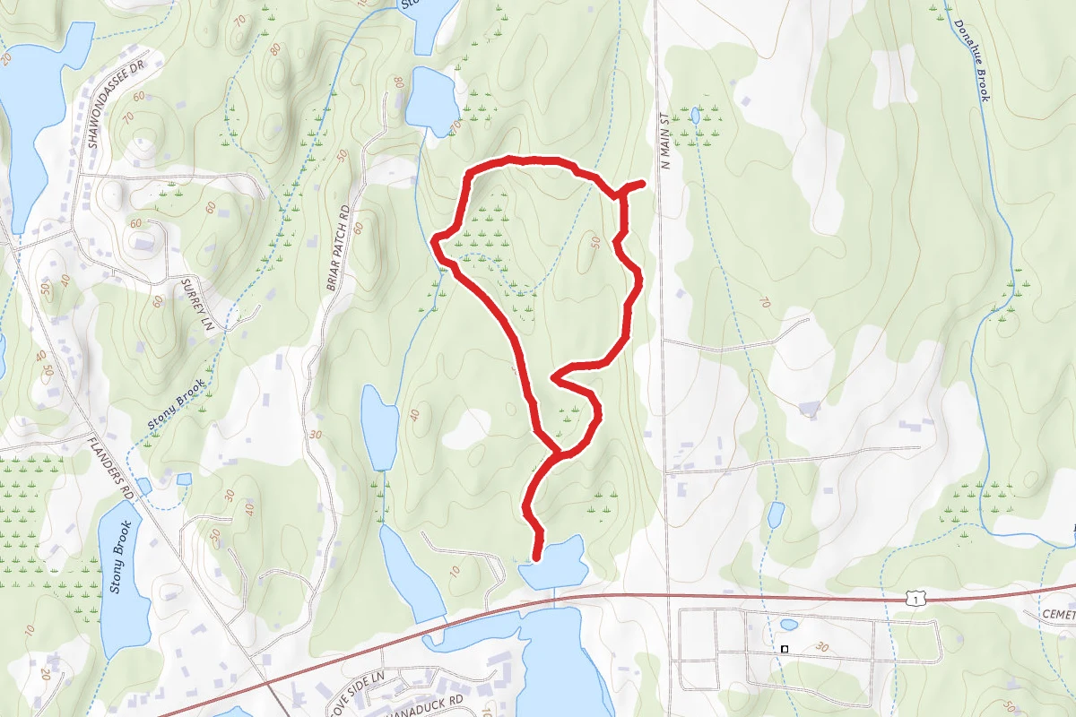 Paffard Woods Loop