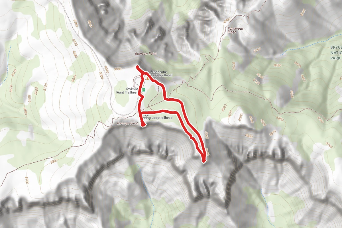Rainbow Point, Yovimpa Point, and Bristlecone Loop