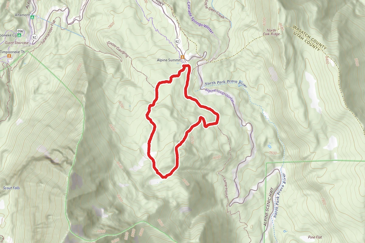 Horse Flat, Horse Spring and Lame Horse Trail Loop
