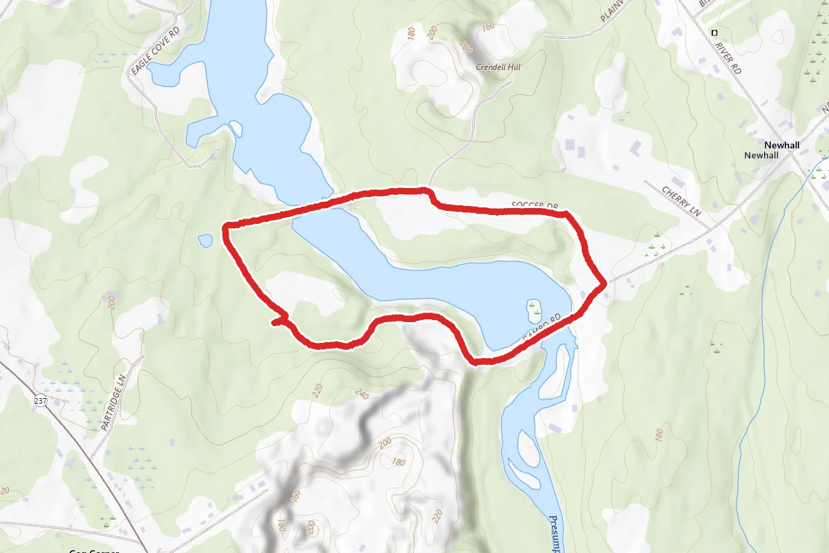 Gambo Property and Shaw Park