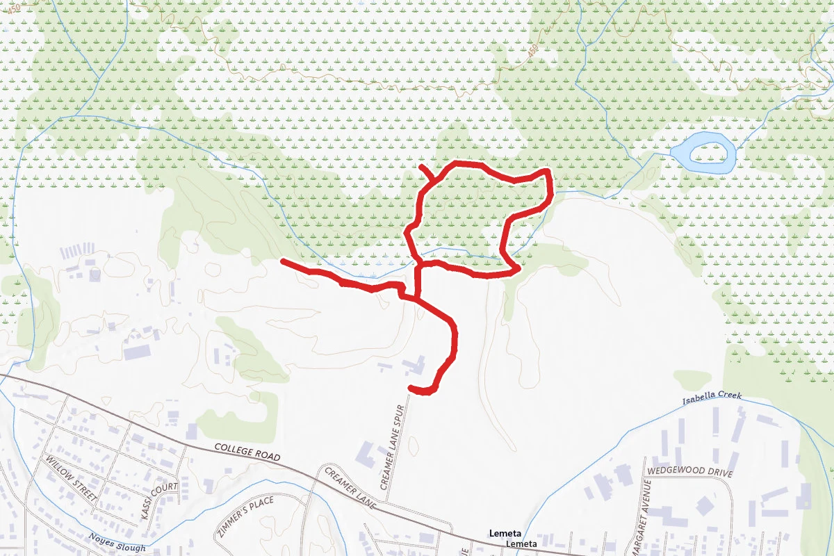 Boreal Forest and Seasonal Wetland Trail