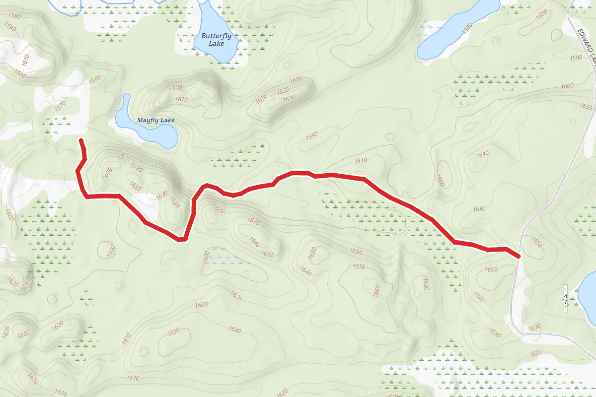 Edward Lake Spur D