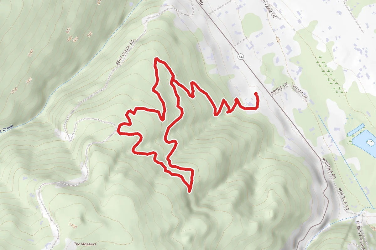 Bear Gulch and Madrone Trail Loop