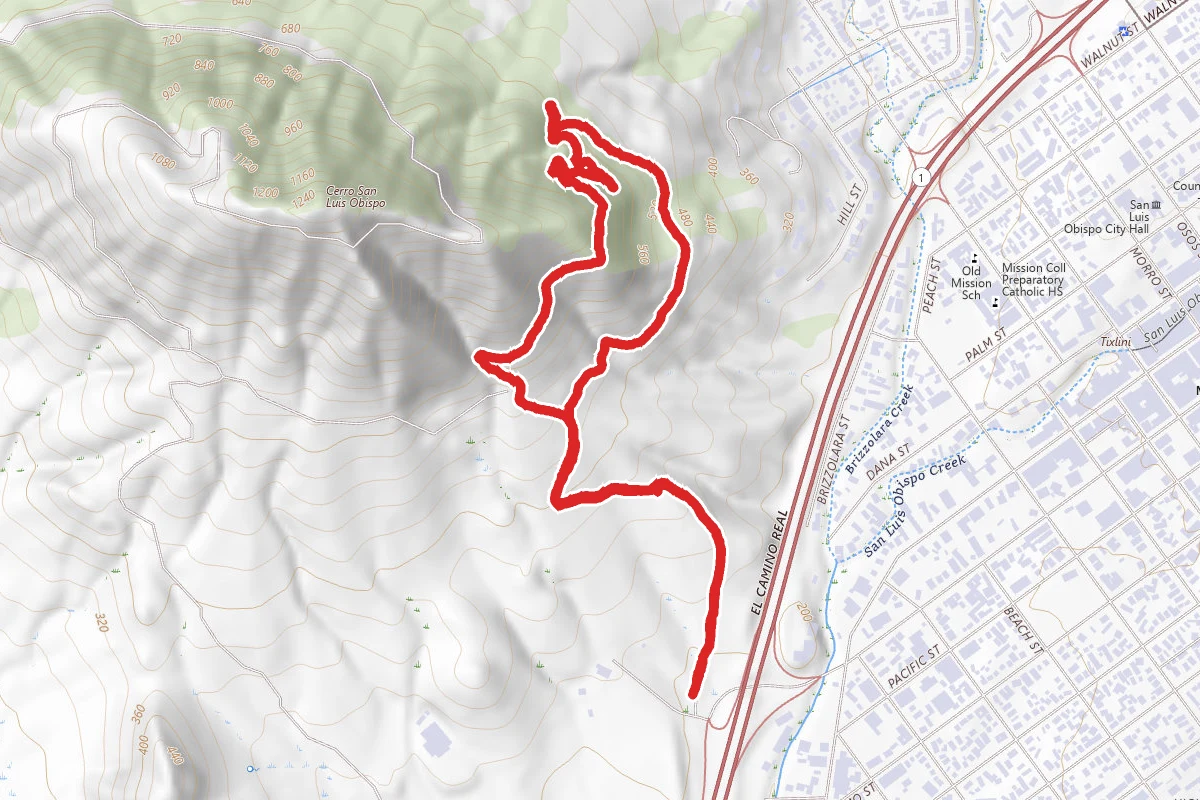 M Trail Loop