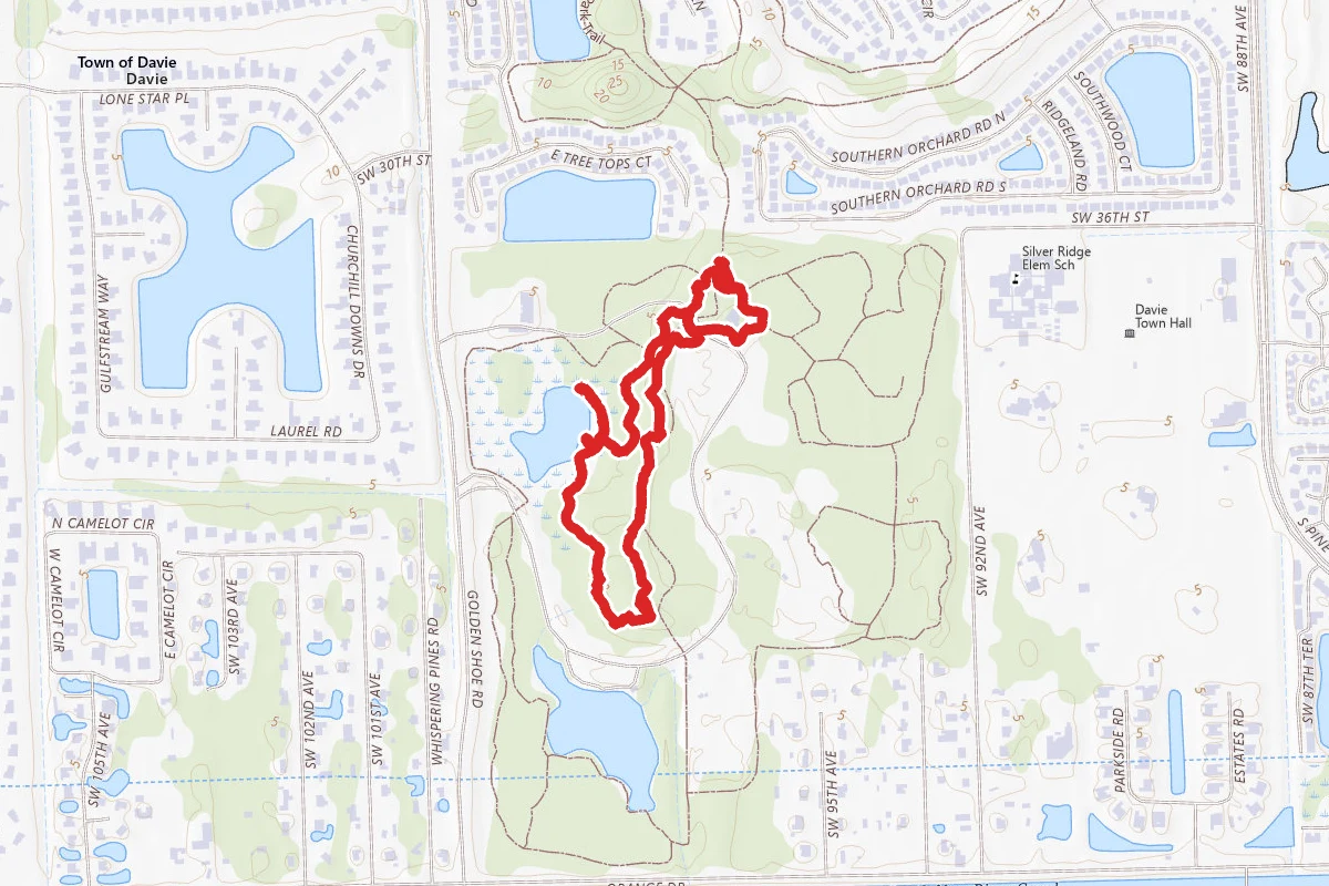 Tree Top Loop