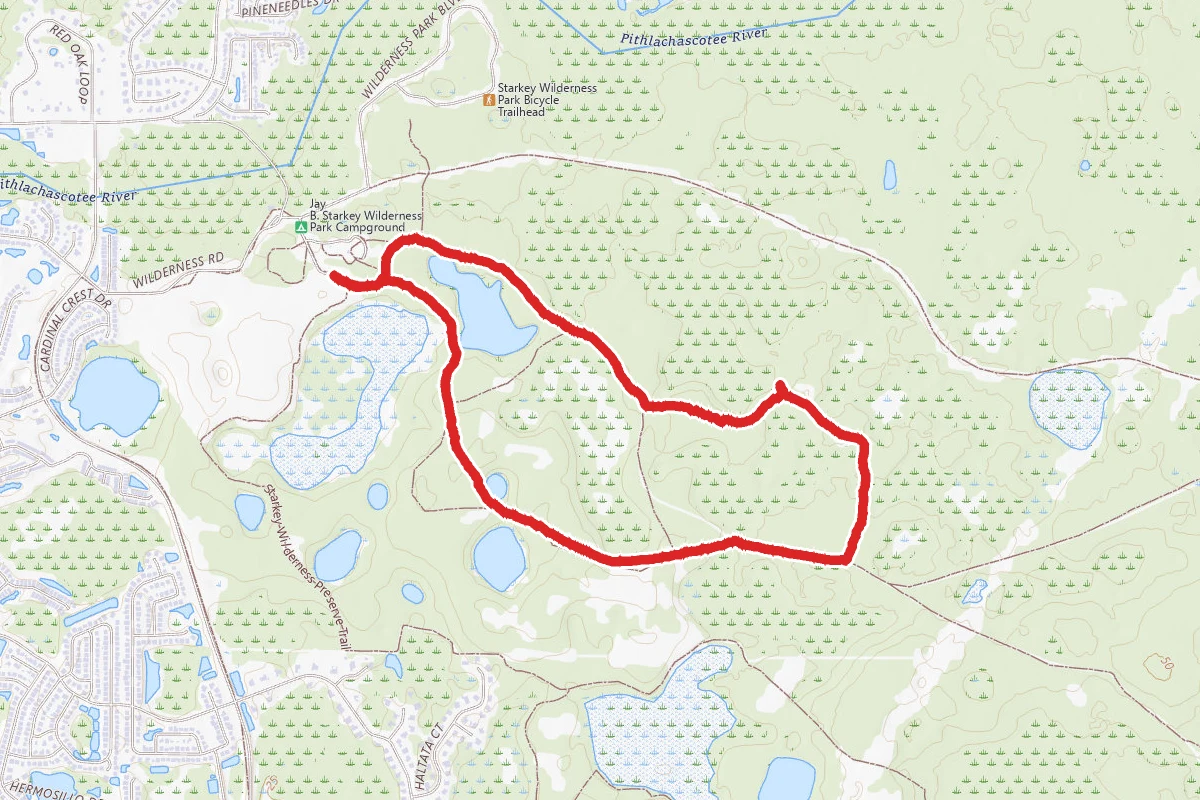 Starkey Wilderness Park Loop