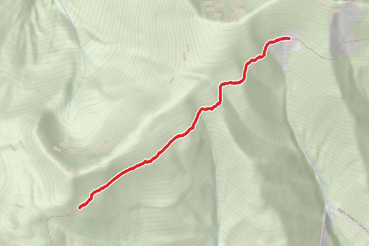 Wire Trail