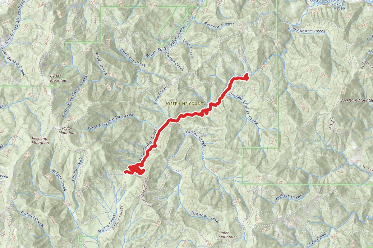 Taylor Creek