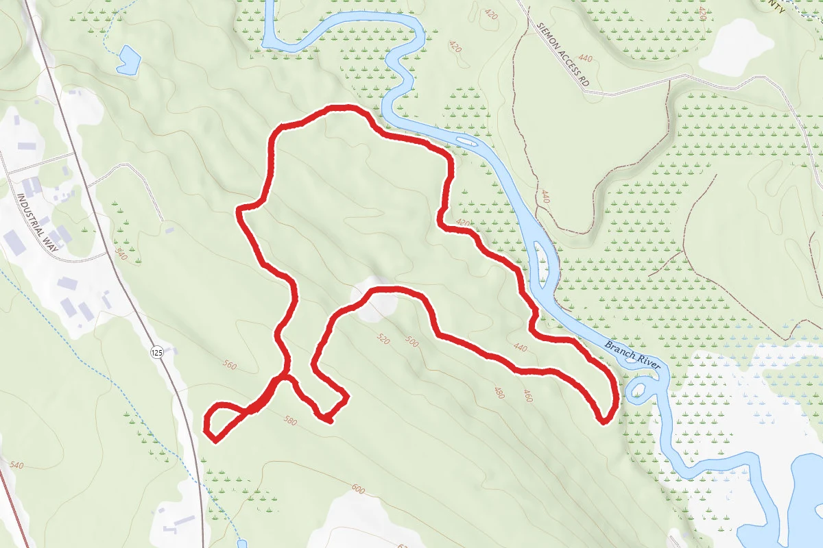 Plummer's Ridge Trail