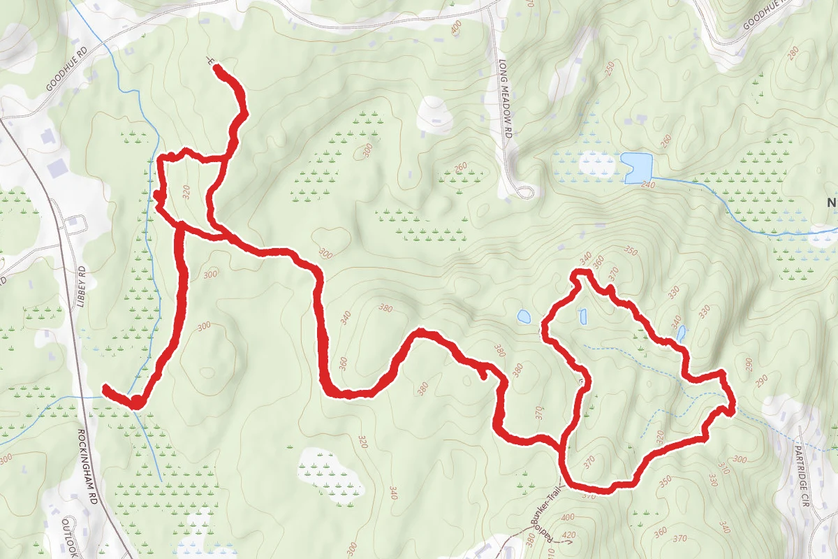 Windham Town Forest Loop