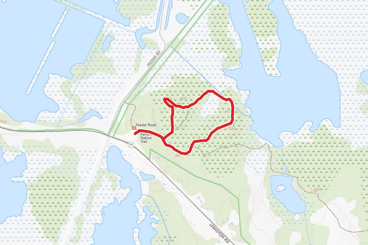 Iroquois National Wildlife Refuge & Tonawanda Wildlife Management Area Loop