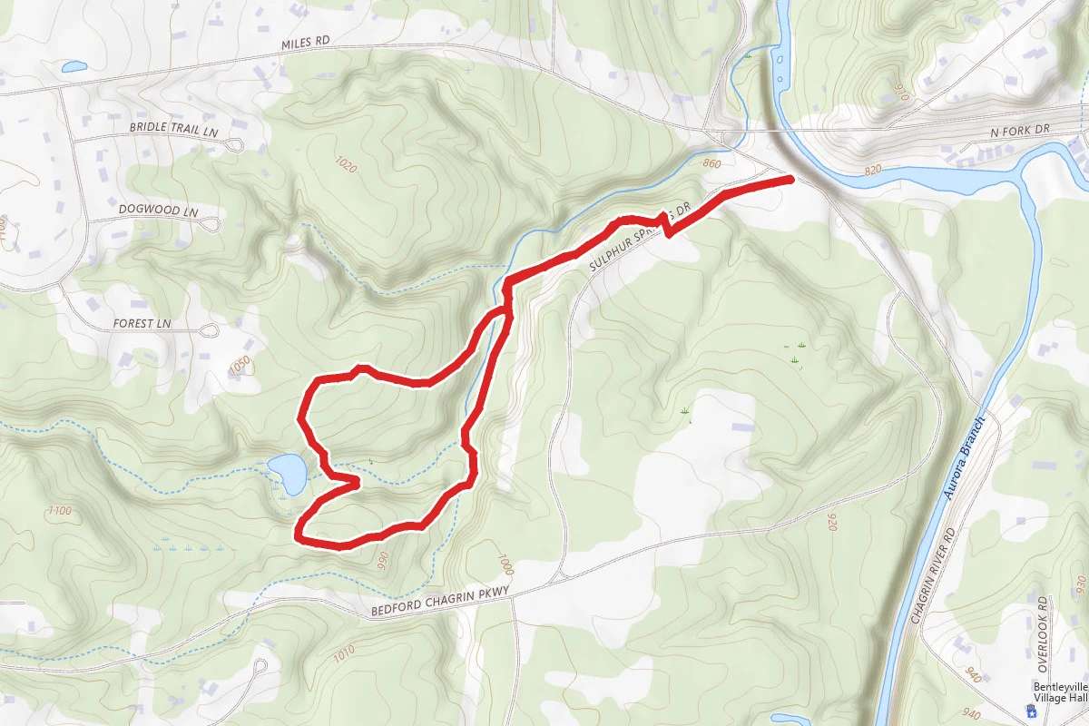 Sulphur Springs Loop and Bridle Trail