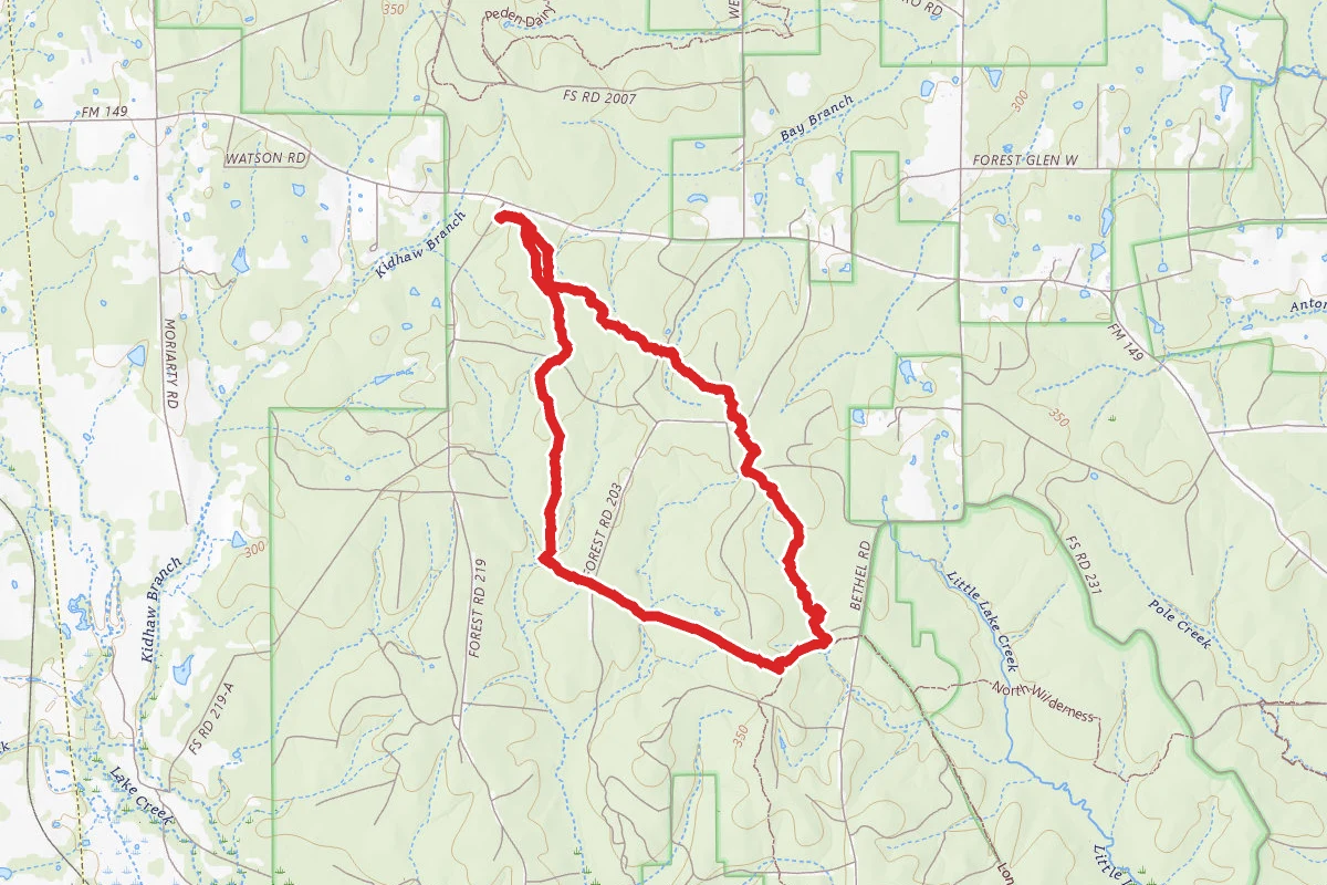 Little Lake Creek Loop Trail