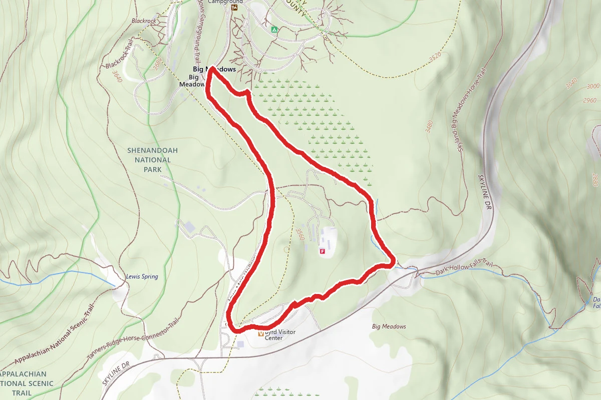 Story of the Forest Trail