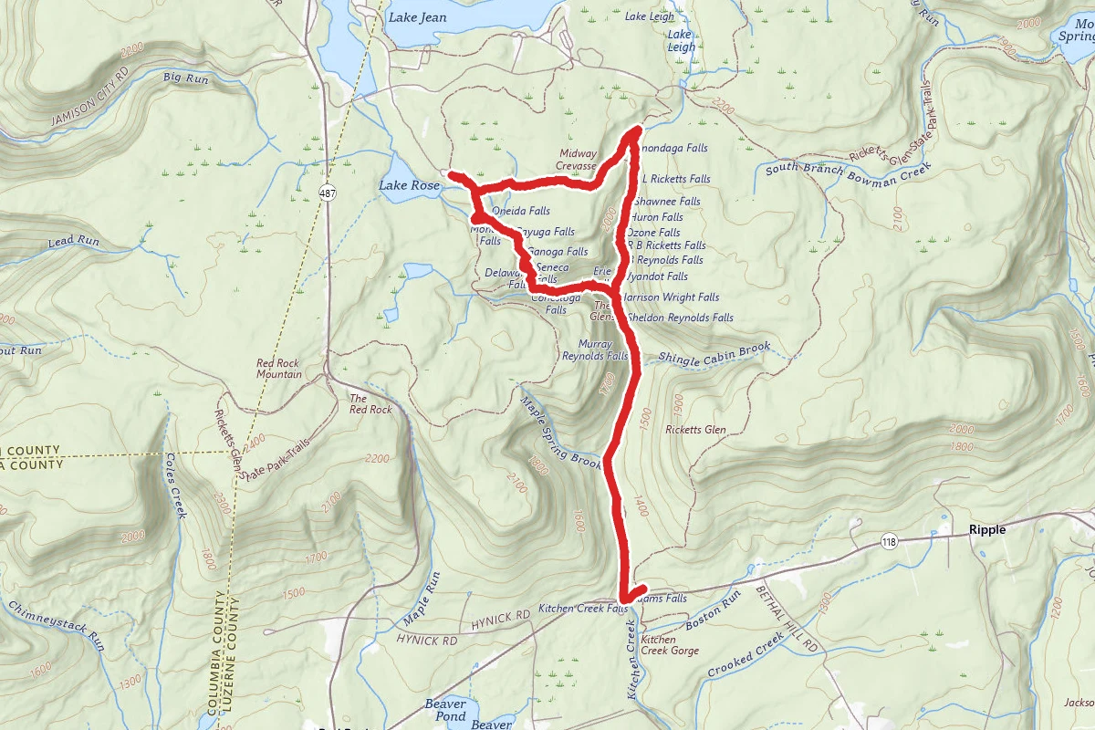 Rickets Glen Falls Loop