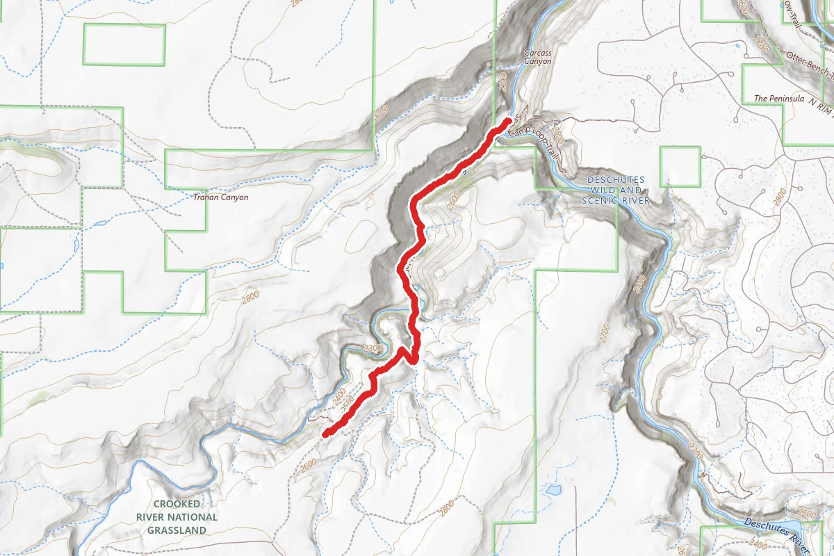 Alder Springs Trail