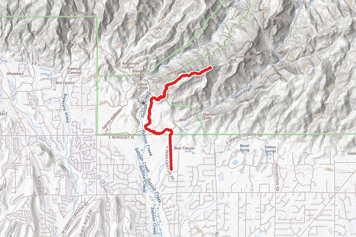 Blackett's Ridge Trail from Bear Canyon