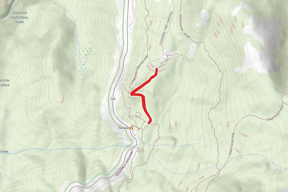 General Sherman Tree Trail