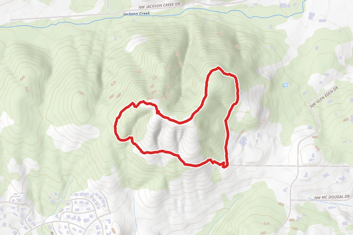 Main Chip Ross Loop