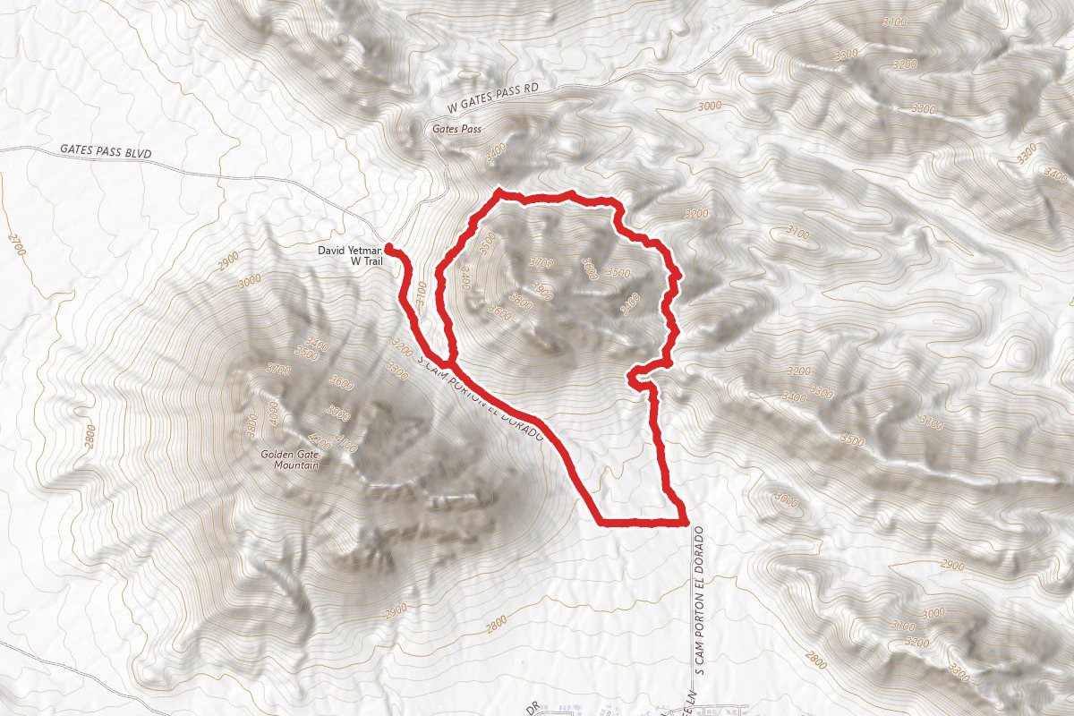 Bren Peak Loop from David Yetman West Trailhead