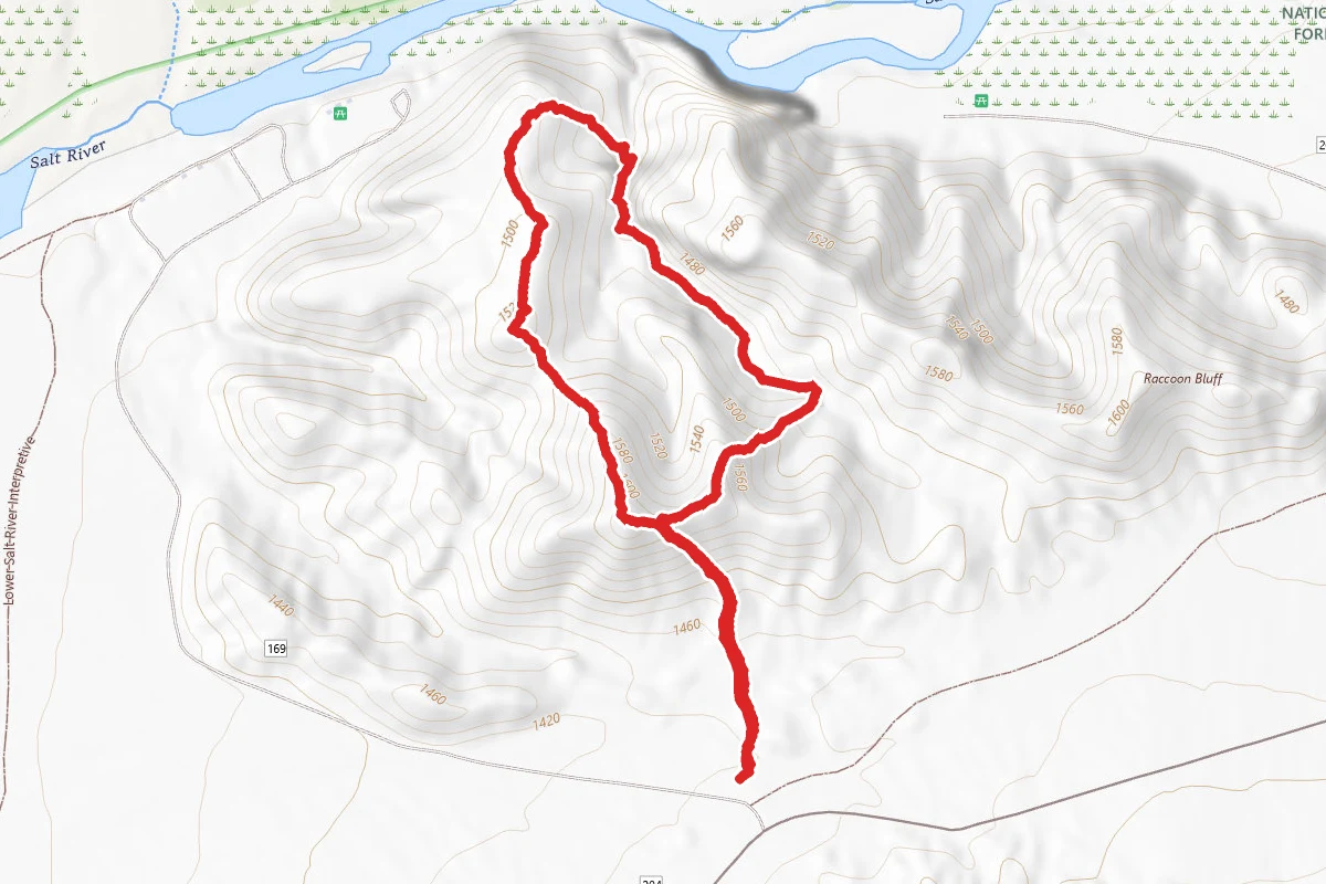 Phon D Sutton Loop