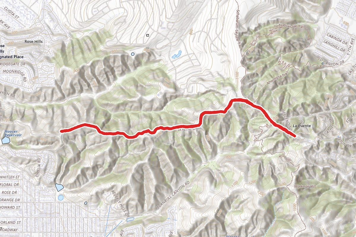 Skyline Trail to Rattlesnake Ridge Trail