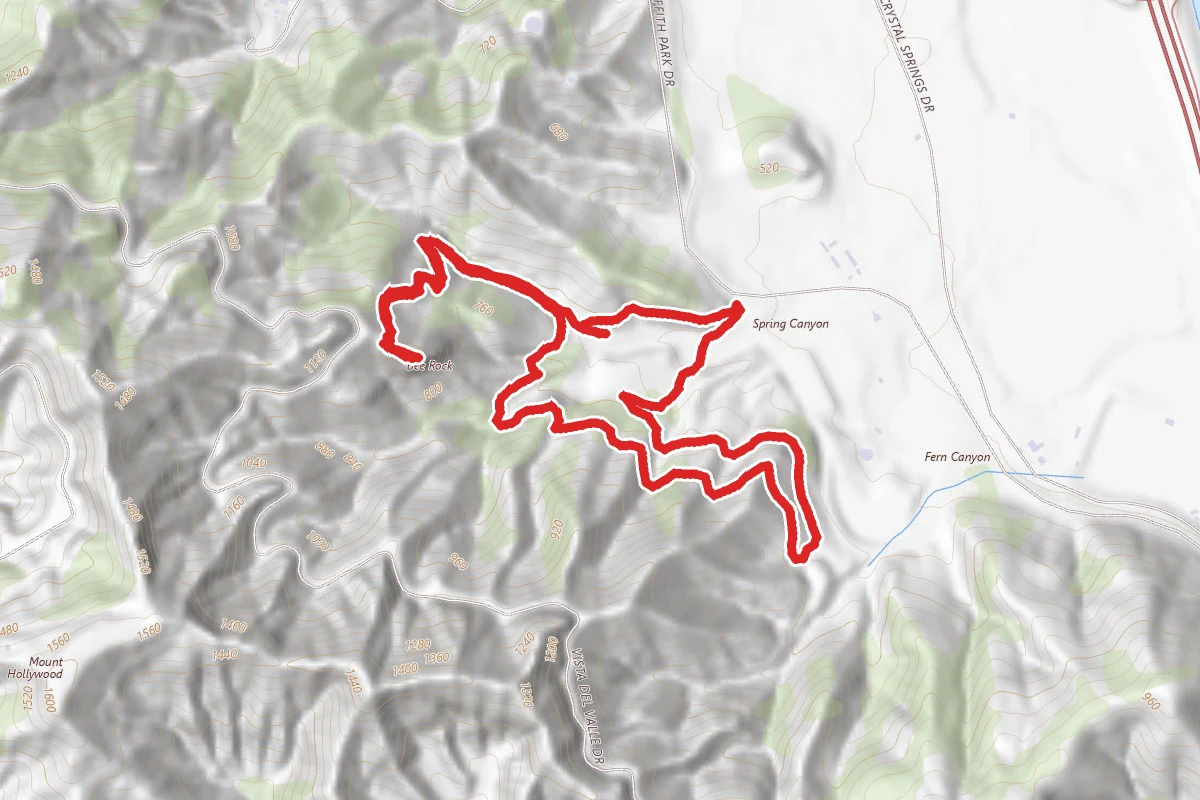 Bee Rock Loop