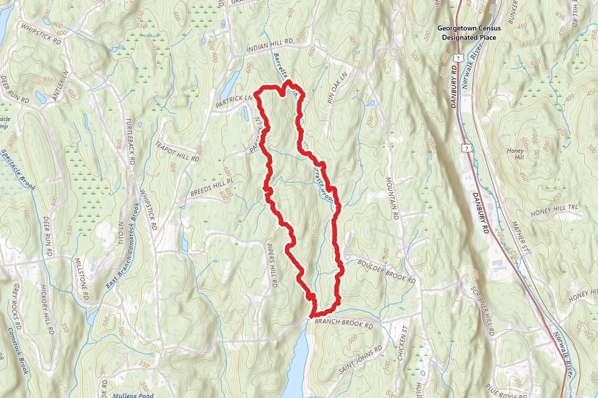 Wilton Town Forest Blue Trail