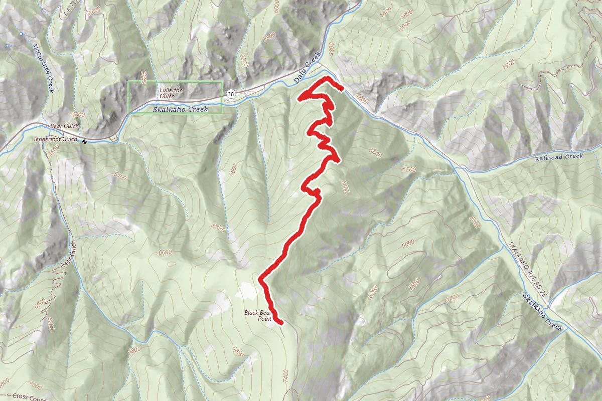 Black Bear Point