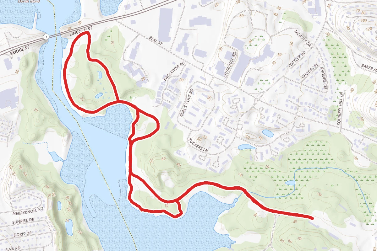 Bare Cove Path