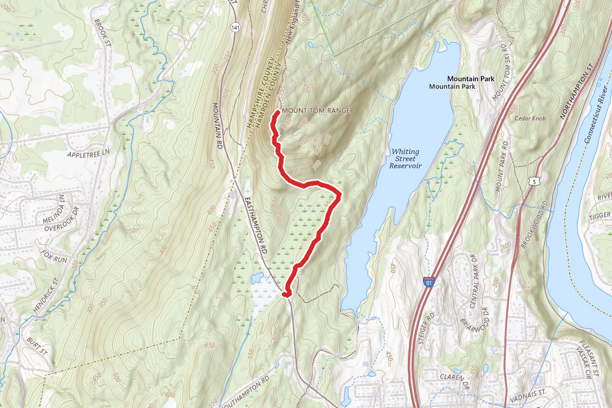 Mount Tom via Metacomet-Monadnock Trail (Short Option)