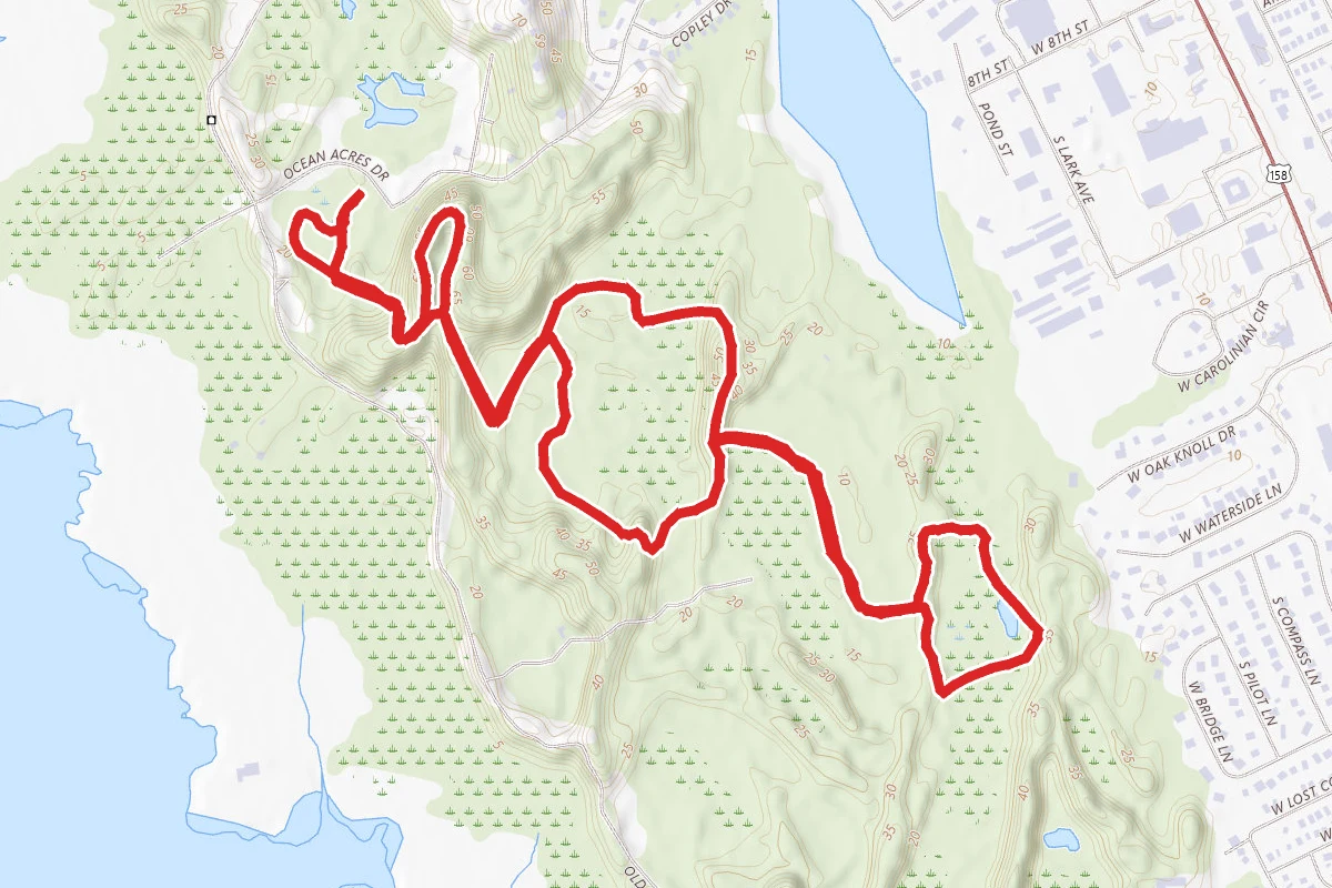 Sweetgum Swamp to Blueberry Ridge Trail