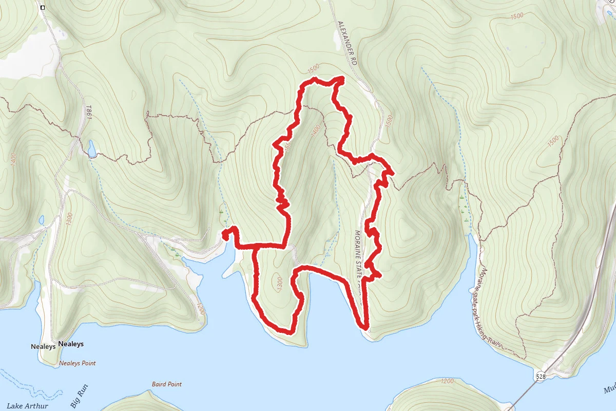 Moraine and Glacier Loop