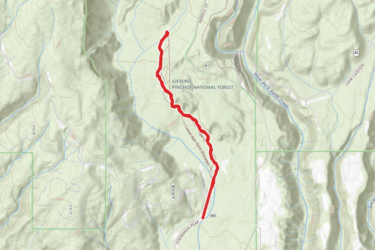 Ape Cave Trail