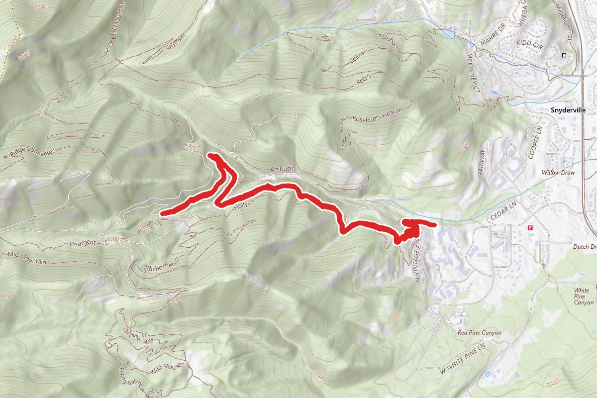 Holly's Trail