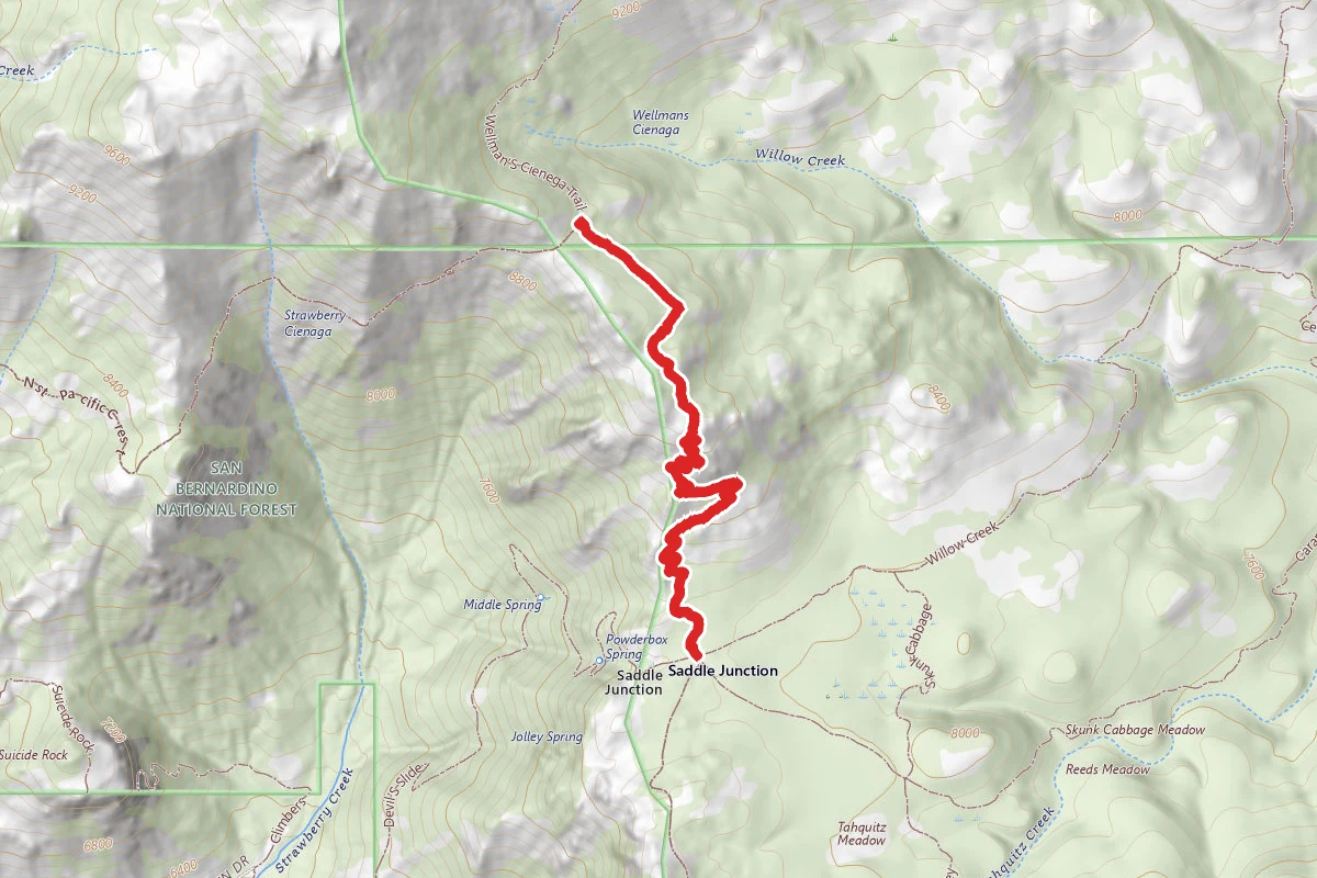 Pct Section 29