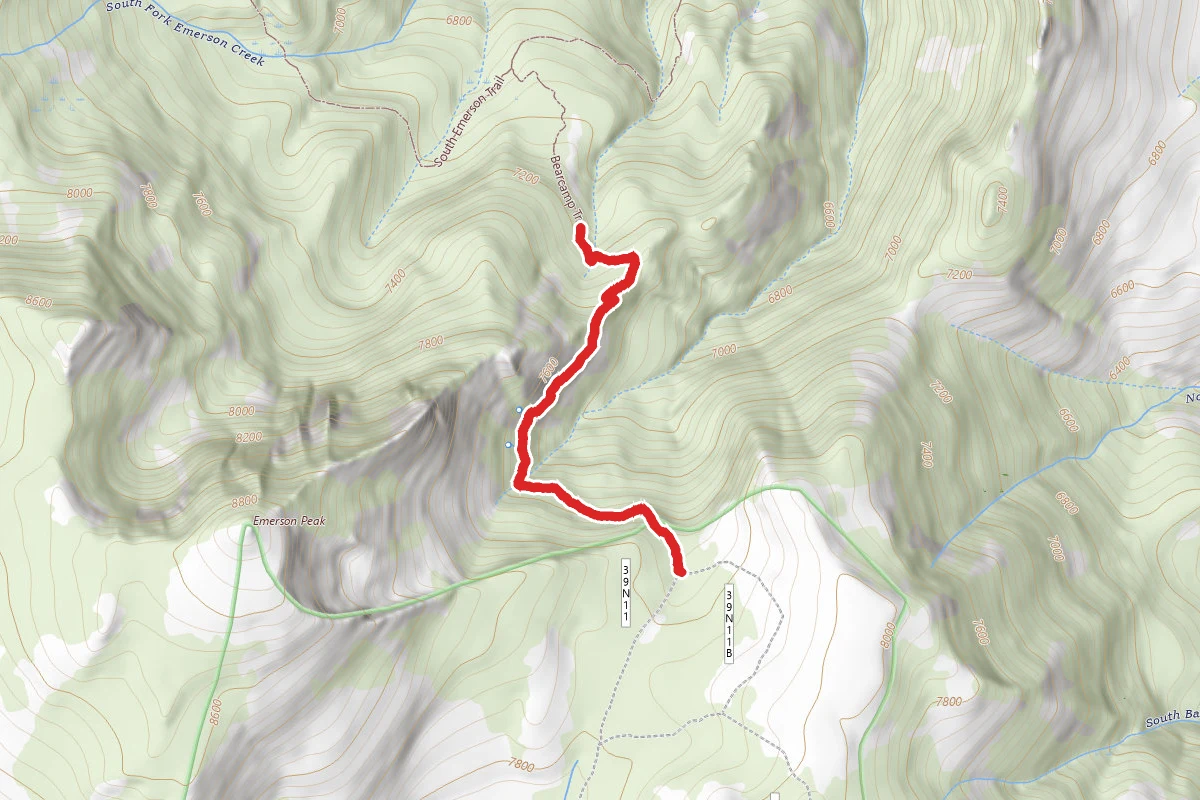 Bearcamp Trail