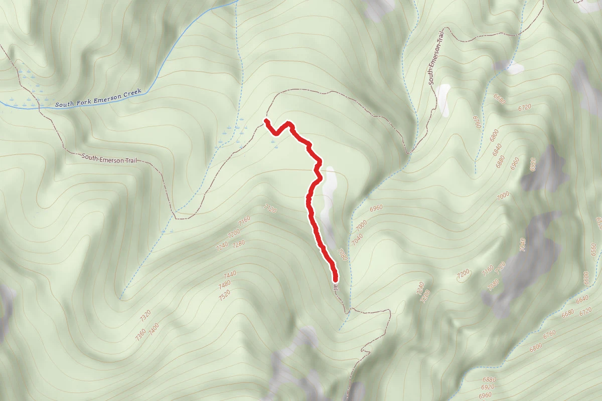 Bearcamp Trail
