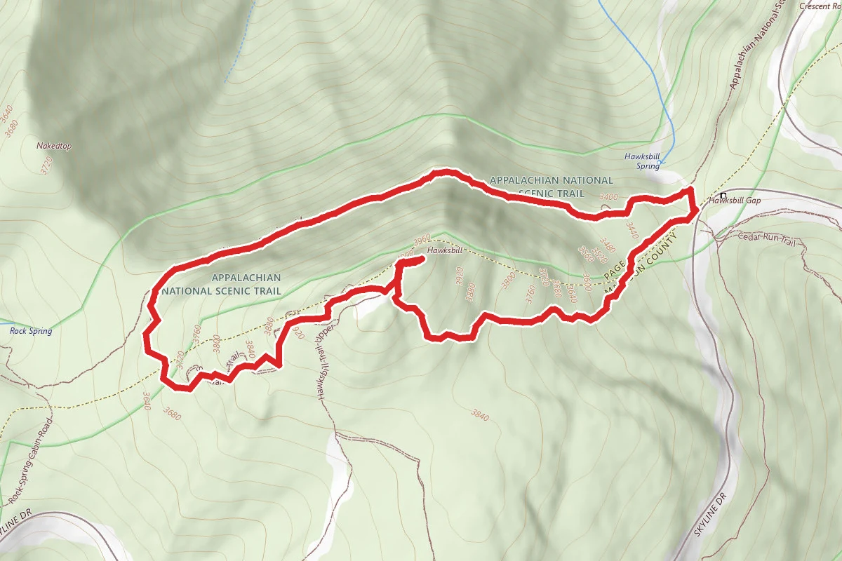 Hawksbill Gap Loop via Appalachian Trail