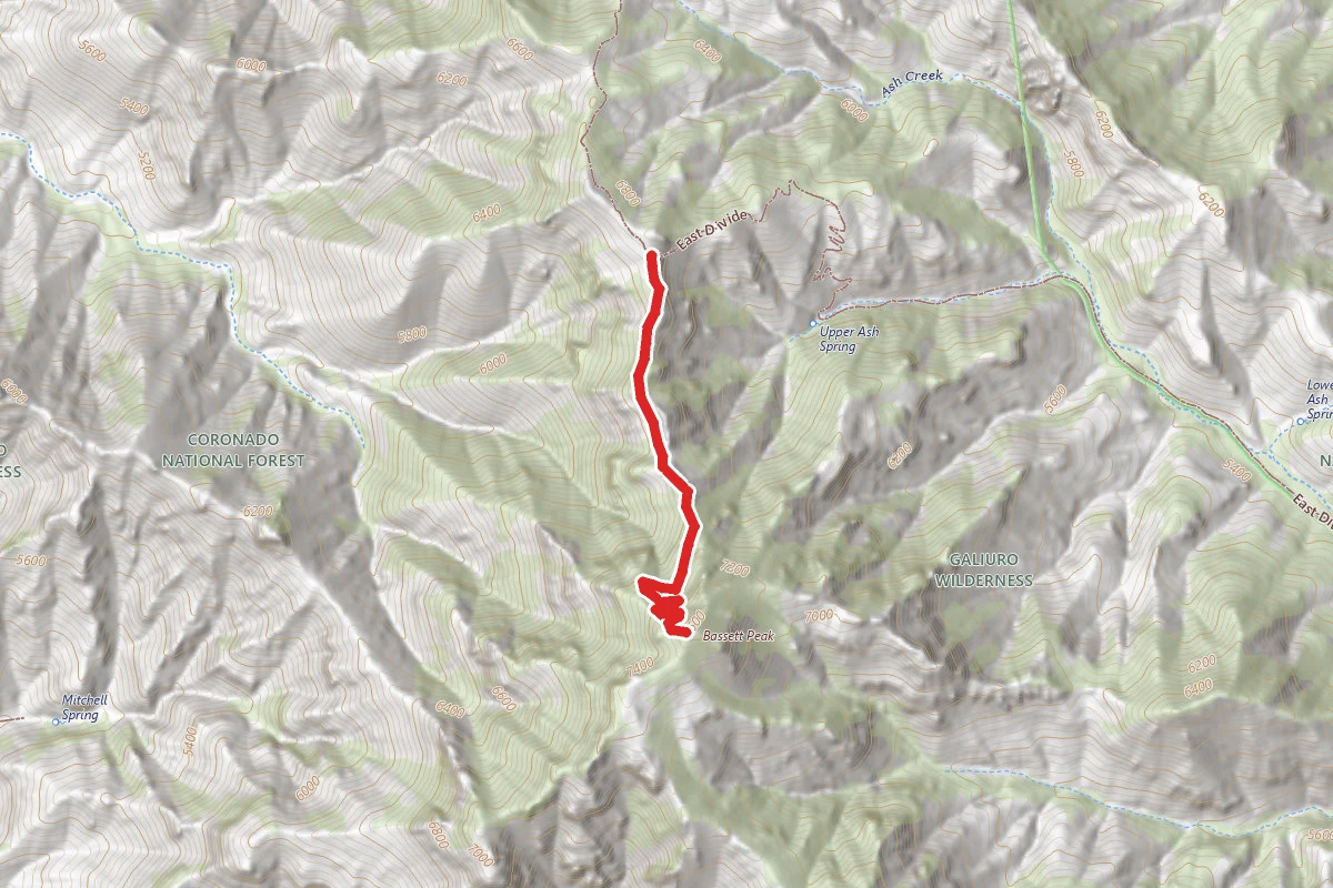 Bassett Peak