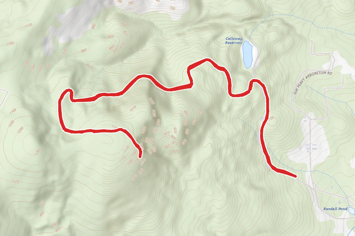 Peavy Arboretum 500 Road