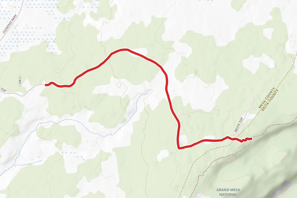 Skid Trail