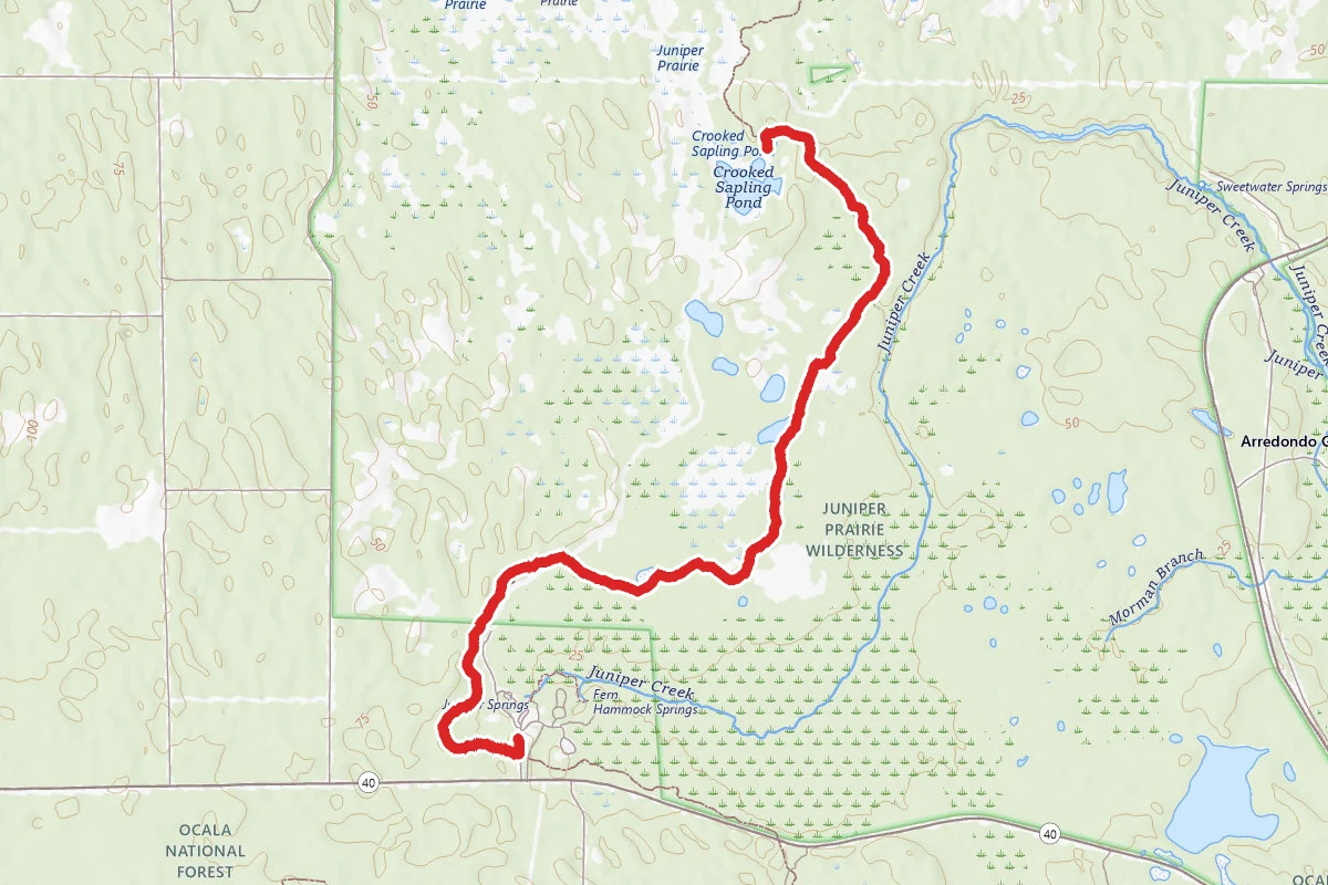Juniper Springs to Hidden Pond via Florida Trail