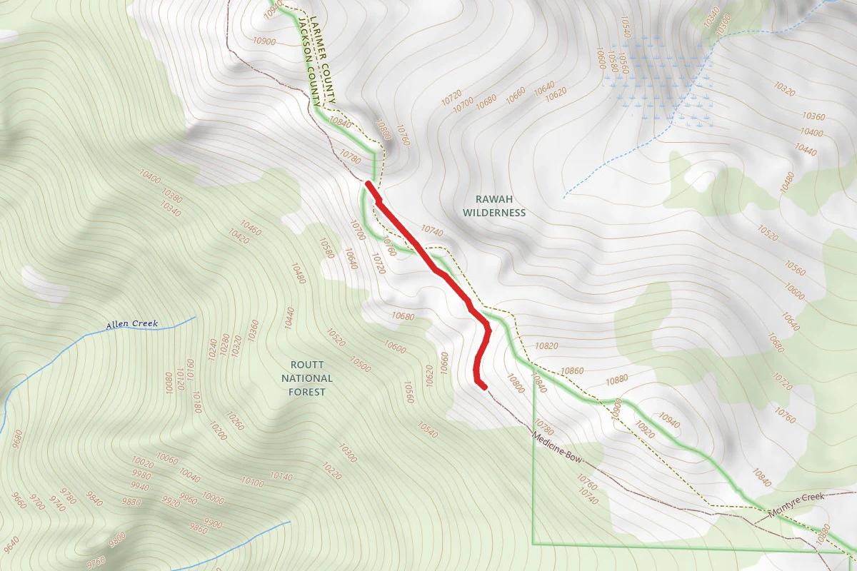 Medicine Bow