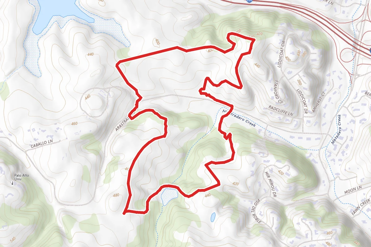 Redtail, Portola Pastures, Meadowlark, and Wild Rye Trail