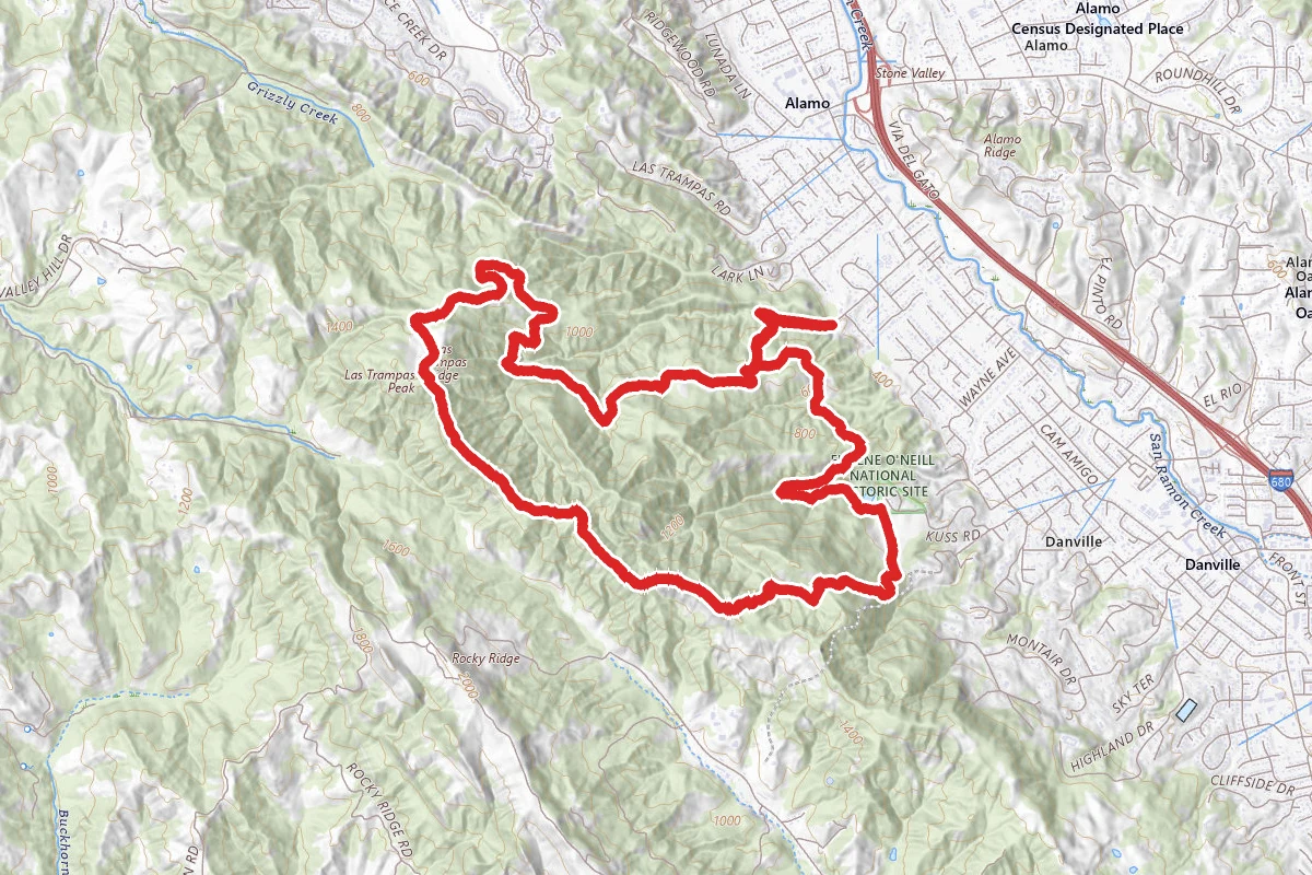Ringtail Cat Trail to Madrone Trail Loop