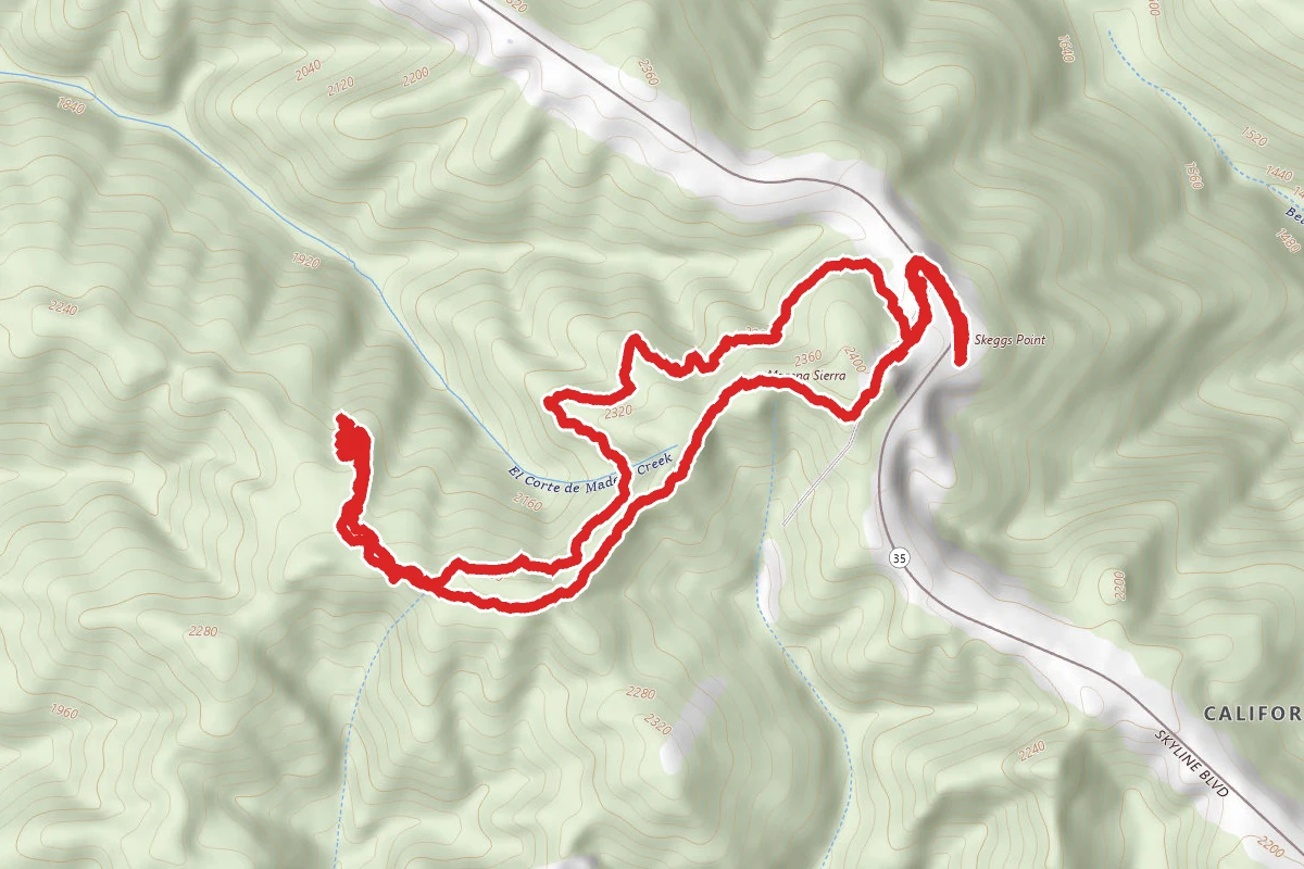 Fir Trail and Tafoni Trail