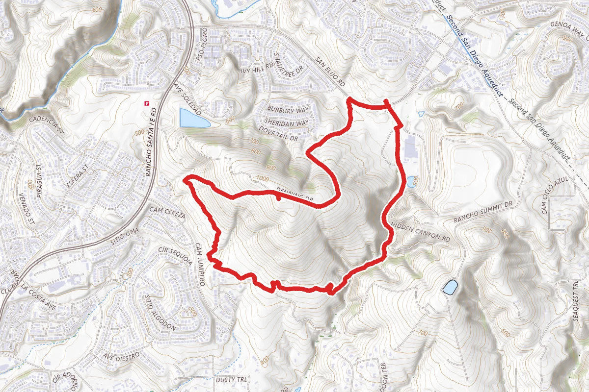 Mule Deer and Fire Trail Loop
