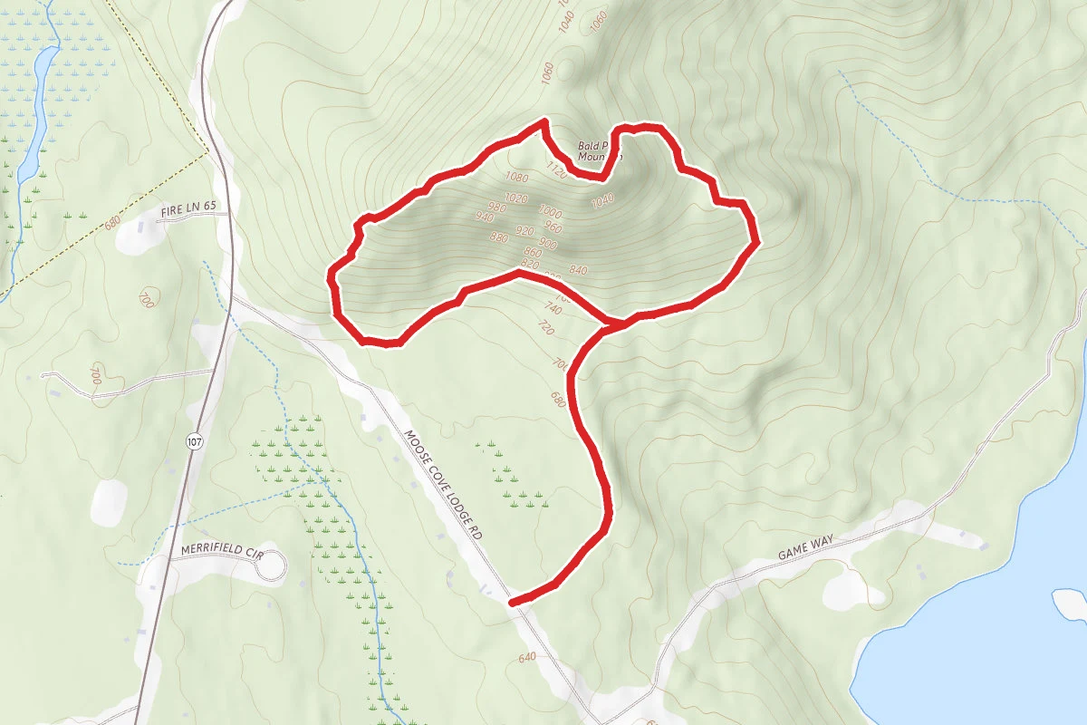 Micah Trail to South Face Loop Trail