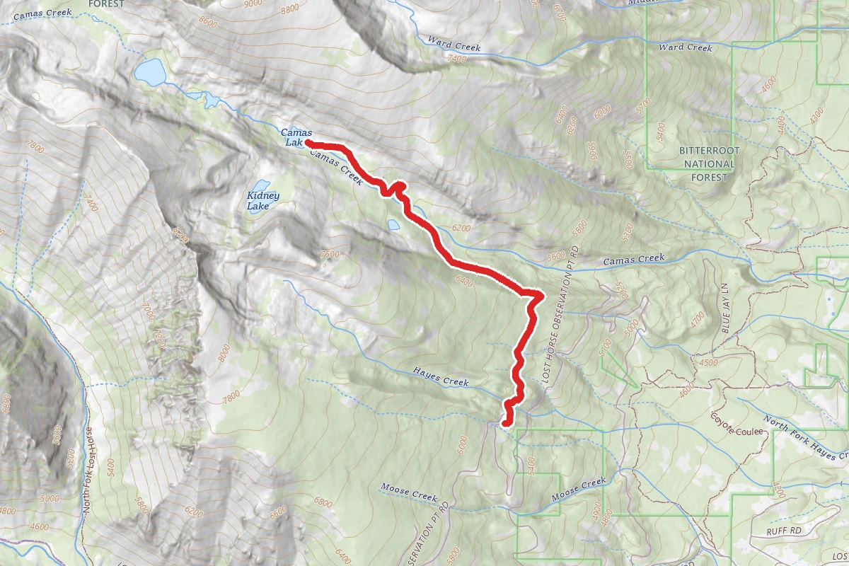 Camas Lake Trail